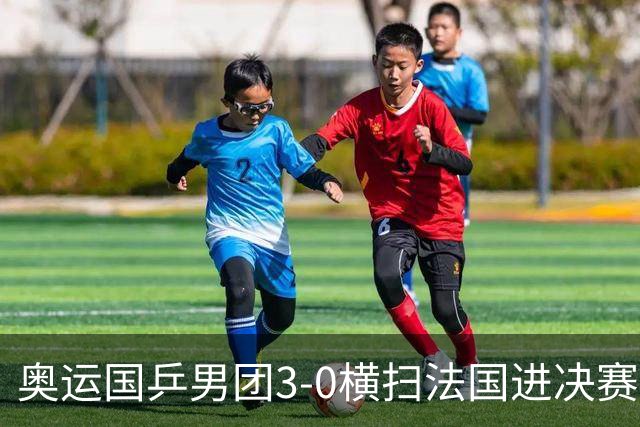 奥运国乒男团3-0横扫法国进决赛 将与瑞典争冠军