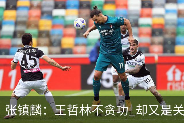 张镇麟：王哲林不贪功 却又是关键时刻能站出来的人 队长当之无愧